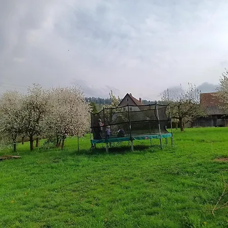 Haus Am Limes *
